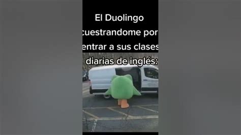 memes duolingo|duolingo sequestrando.